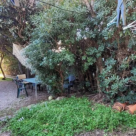 Cosy Au Soleil